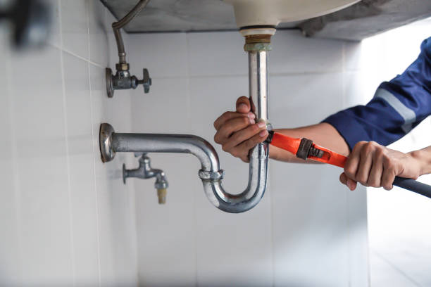 Best Green Plumbing Solutions in Roanoke, AL